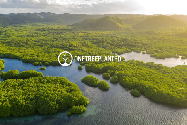 ONETREEPLANTED x JOCA